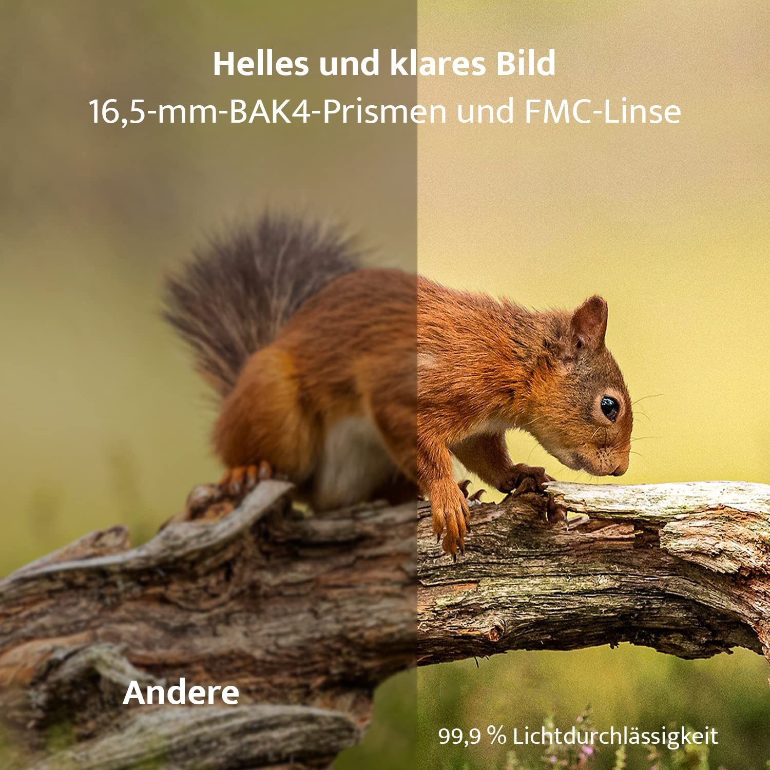 TWUFY Fernglas 12x42 HD Kompakte Ferngläser wasserdicht für Jagd, Wandern Fernglas (Outdoor Sportspiele Vogelbeobachtung Reisen Jagd Konzerte)