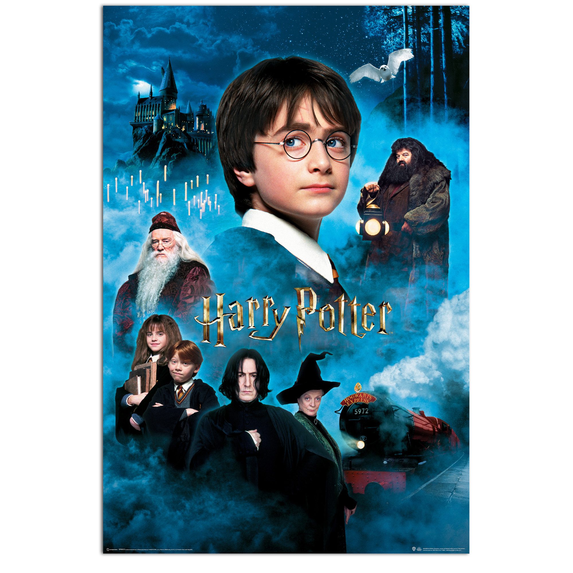 Harry Potter Плакат Harry Potter und der Stein der Weisen Плакат 61 x 91,5 cm
