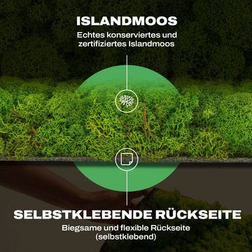 naturewalls Wandpaneel Moospaneele - Moosbild Islandmoos - Mooswand selber machen, BxL: 50x50 cm, (1-tlg) Flex, 50 x 50