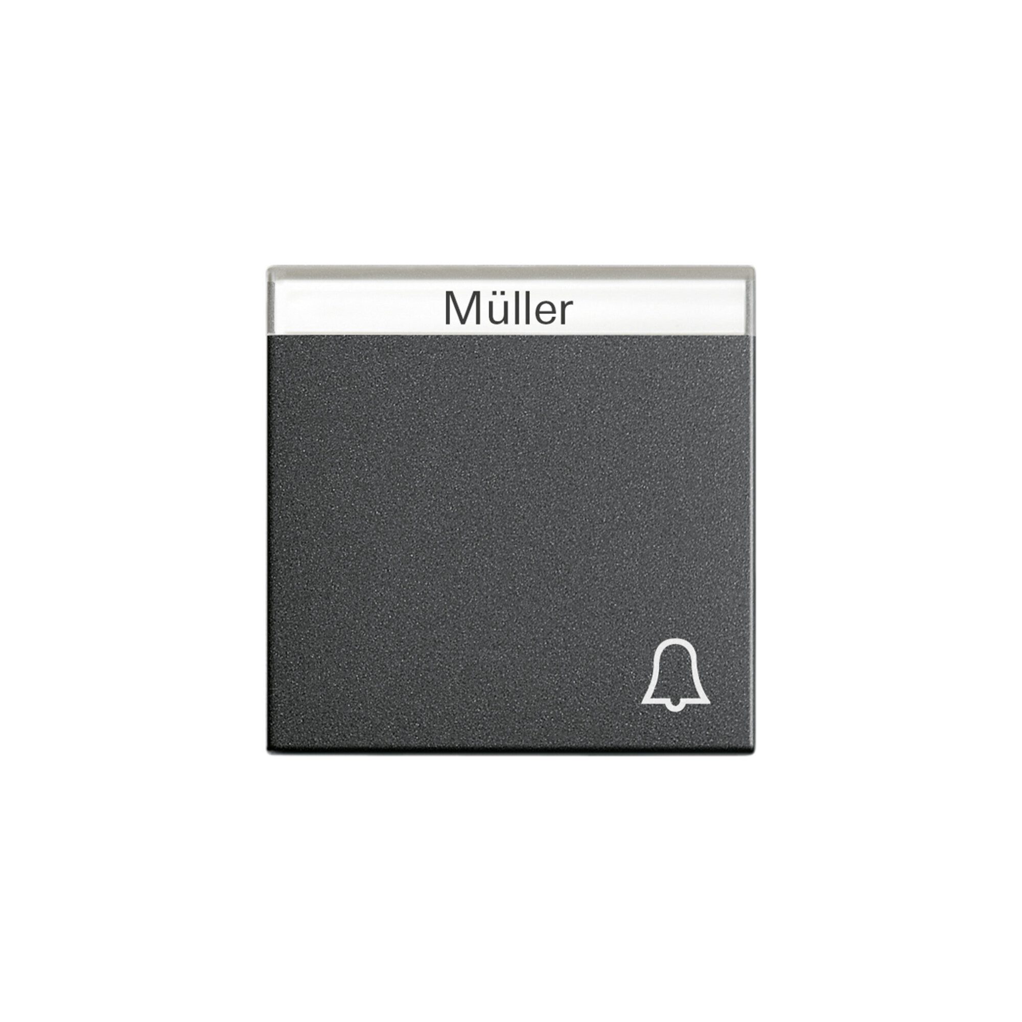 GIRA Gira Wippe Klingel anth m.Schriftf.,System55 067328 Wandtaster