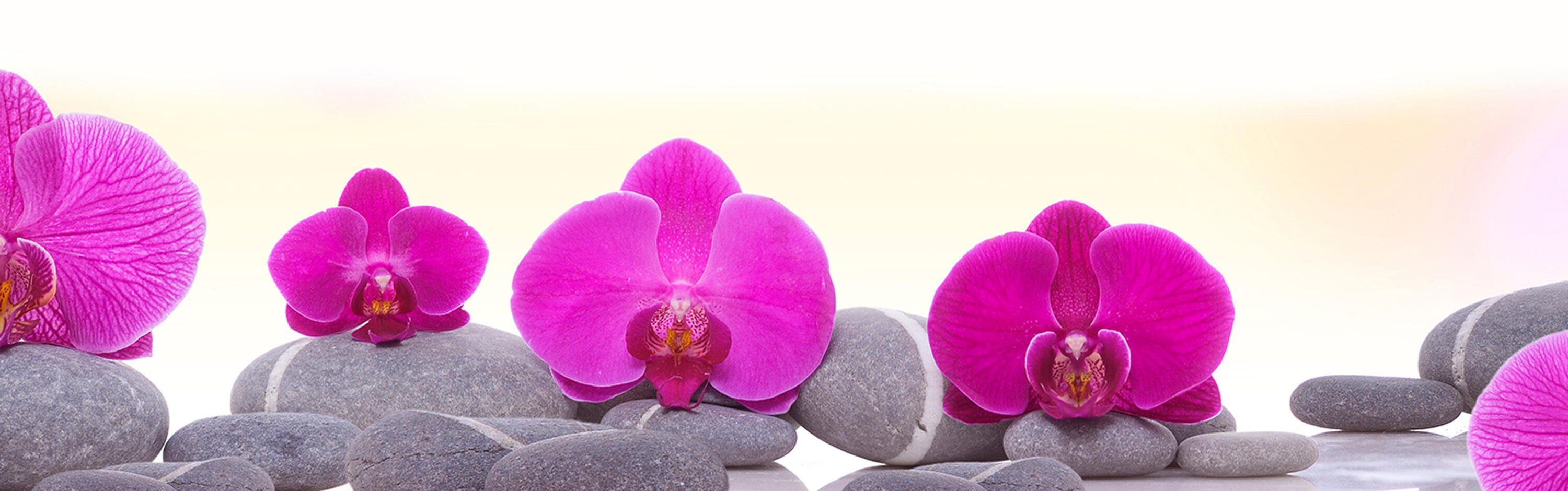 Hartschaum Premium (1-tlg), versch. Orchidee Größen rosa, wandmotiv24 Blätter Steine Nischenrückwand Küchenrückwand in