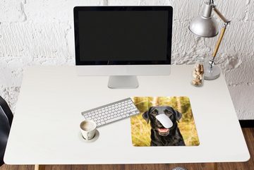 MuchoWow Gaming Mauspad Glücklicher schwarzer Hund (1-St), Mousepad mit Rutschfester Unterseite, Gaming, 40x40 cm, XXL, Großes