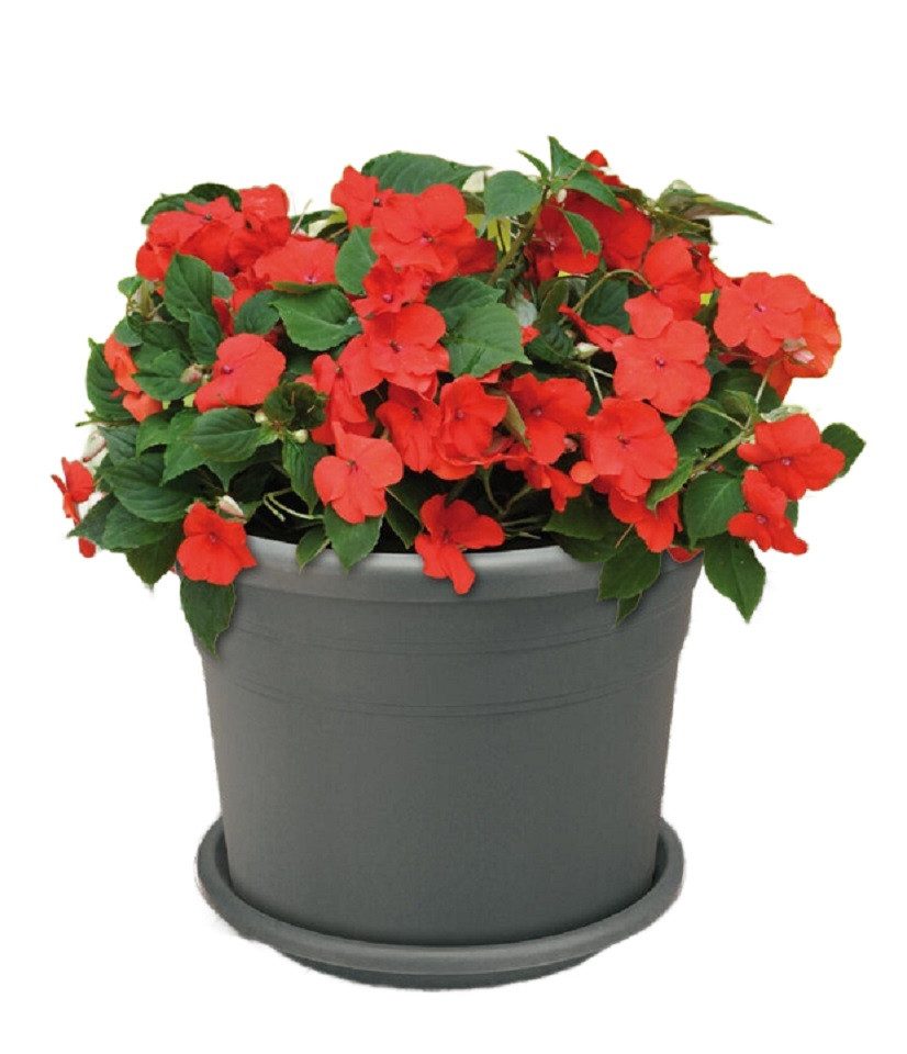 ALPFA Blumentopf Blumenkübel Pflanztopf 30 cm inkl. Untersetzer