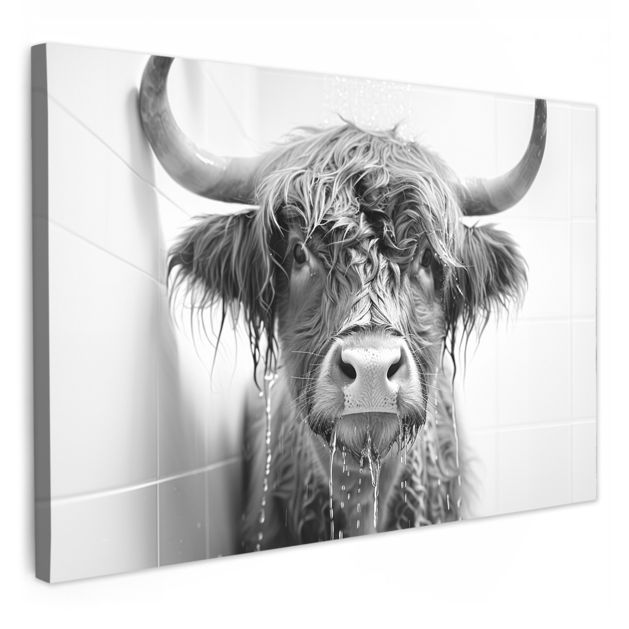 OneMillionCanvasses® Leinwandbild Schottischer Highlander - Tier - Dusche - günstig online kaufen