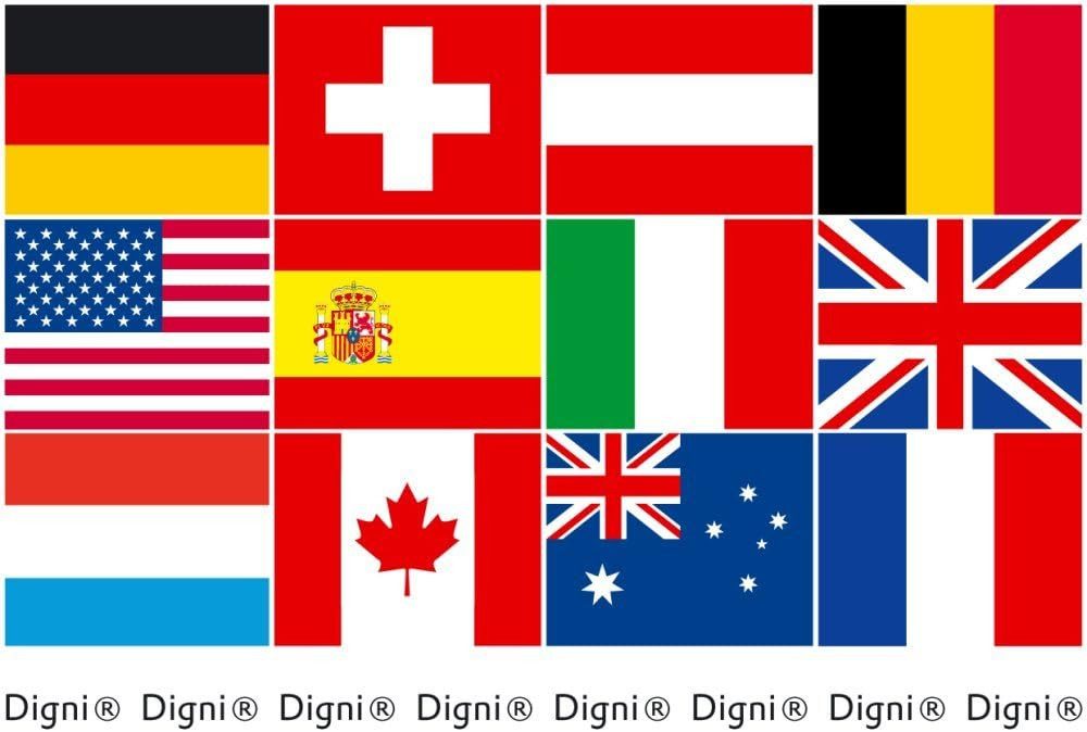 FELIXLEO Fahnenmast Große Stockflagge mit Flagge der USA Kalifornien für Fans, (1-St)