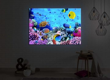 lightbox-multicolor LED-Bild Bunte Fische über Korallenriff front lighted / 60x40cm, Leuchtbild mit Fernbedienung