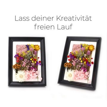Trockenblume Box mit getrockneten Blumen - Zufälliger Mix, Kunstharz.Art