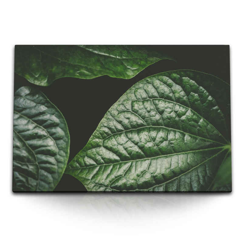 Sinus Art Leinwandbild 120x80cm Wandbild auf Leinwand Grüne Pflanzenblätter Natur Dunkel Kuns, (1 St)