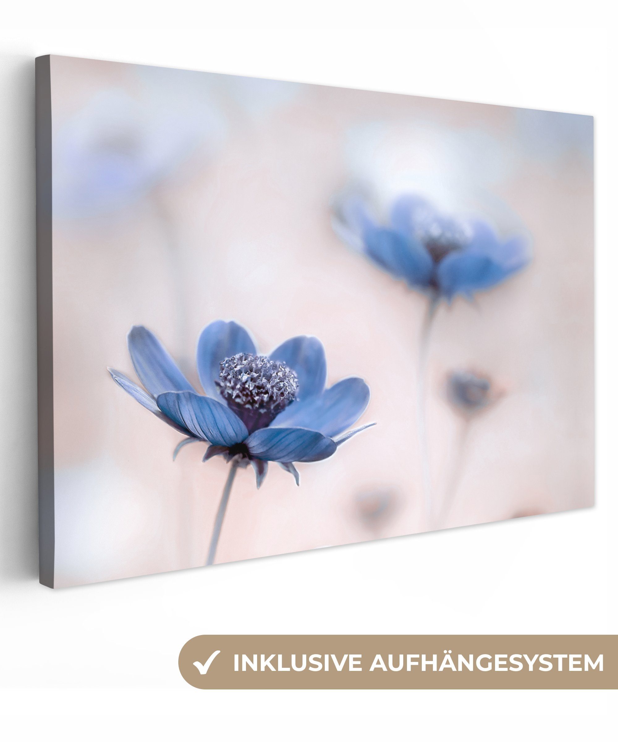 OneMillionCanvasses® Leinwandbild Kosmos - Blumen - Natur - Blau, Fotodruck günstig online kaufen