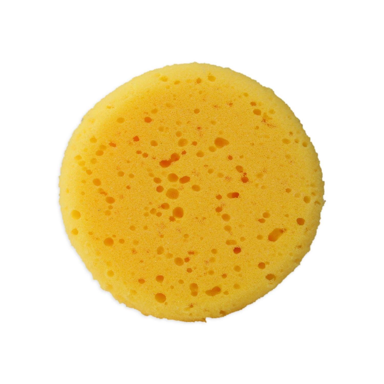 KAESE-SELBER.DE Käse-Coating Coating-Schwamm zum Auftragen von Käse-Coating, saugfähig