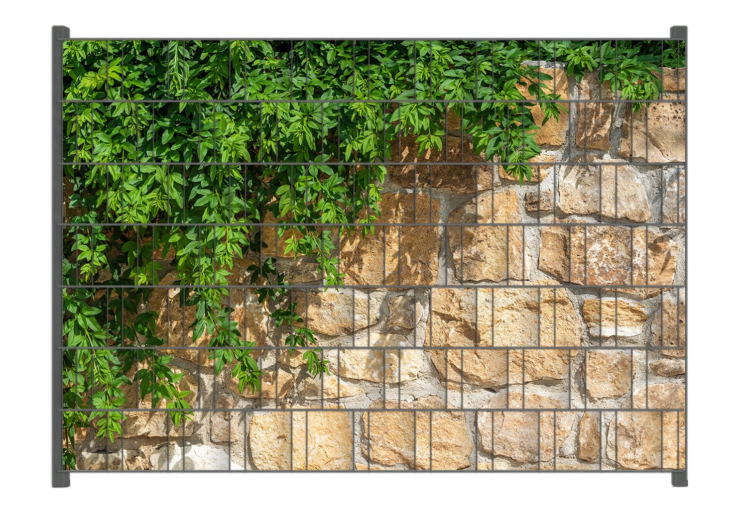 Wallario Sichtschutzstreifen Natursteinwand mit Ranken, für Stabmattenzäune geeignet