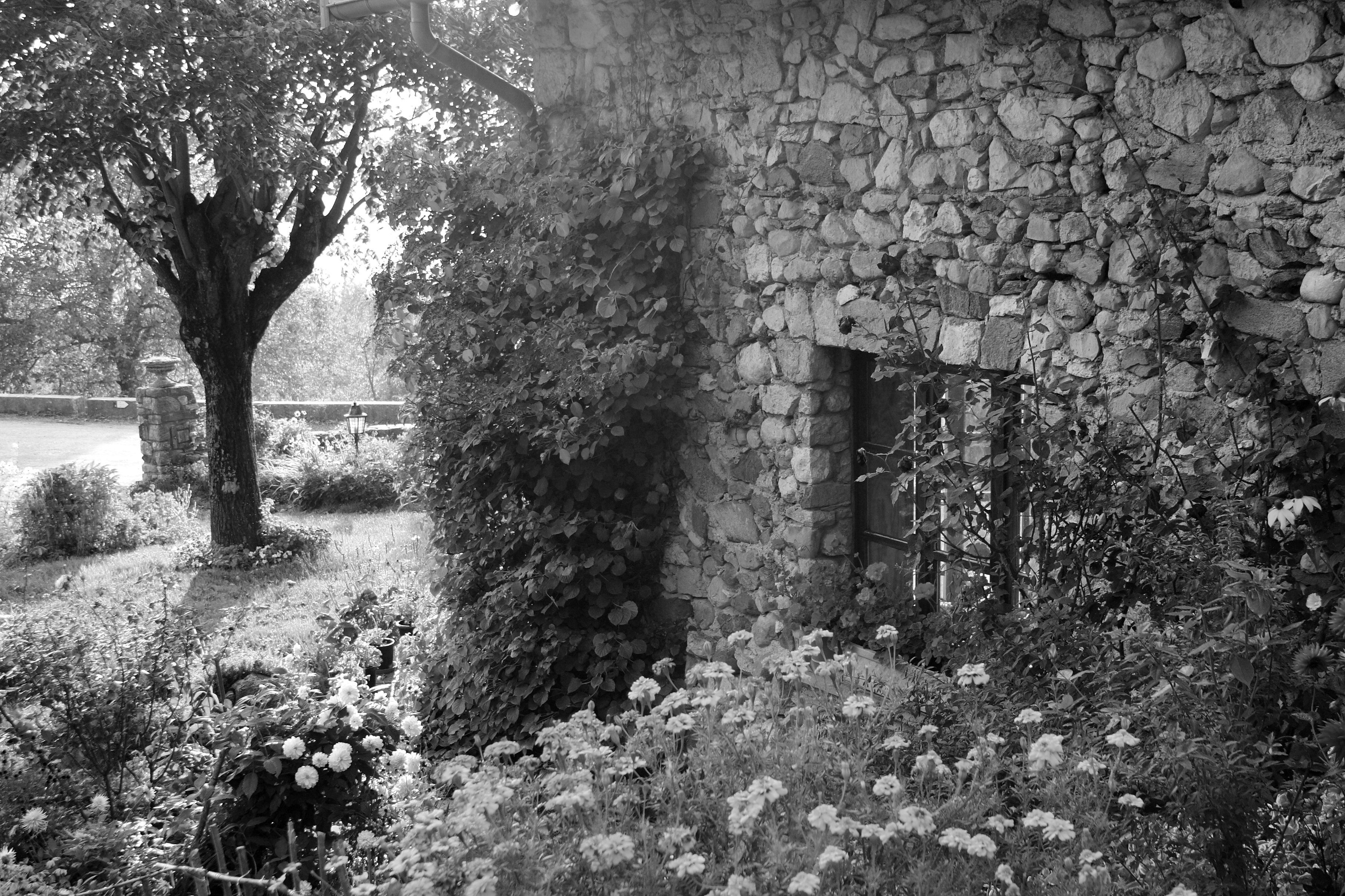 Papermoon & Garten Fototapete Weiß Schwarz