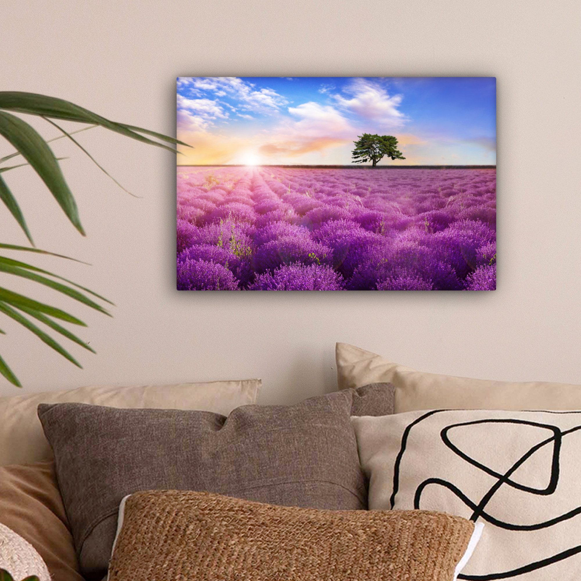OneMillionCanvasses® Leinwandbild Lavendel - Baum - günstig online kaufen