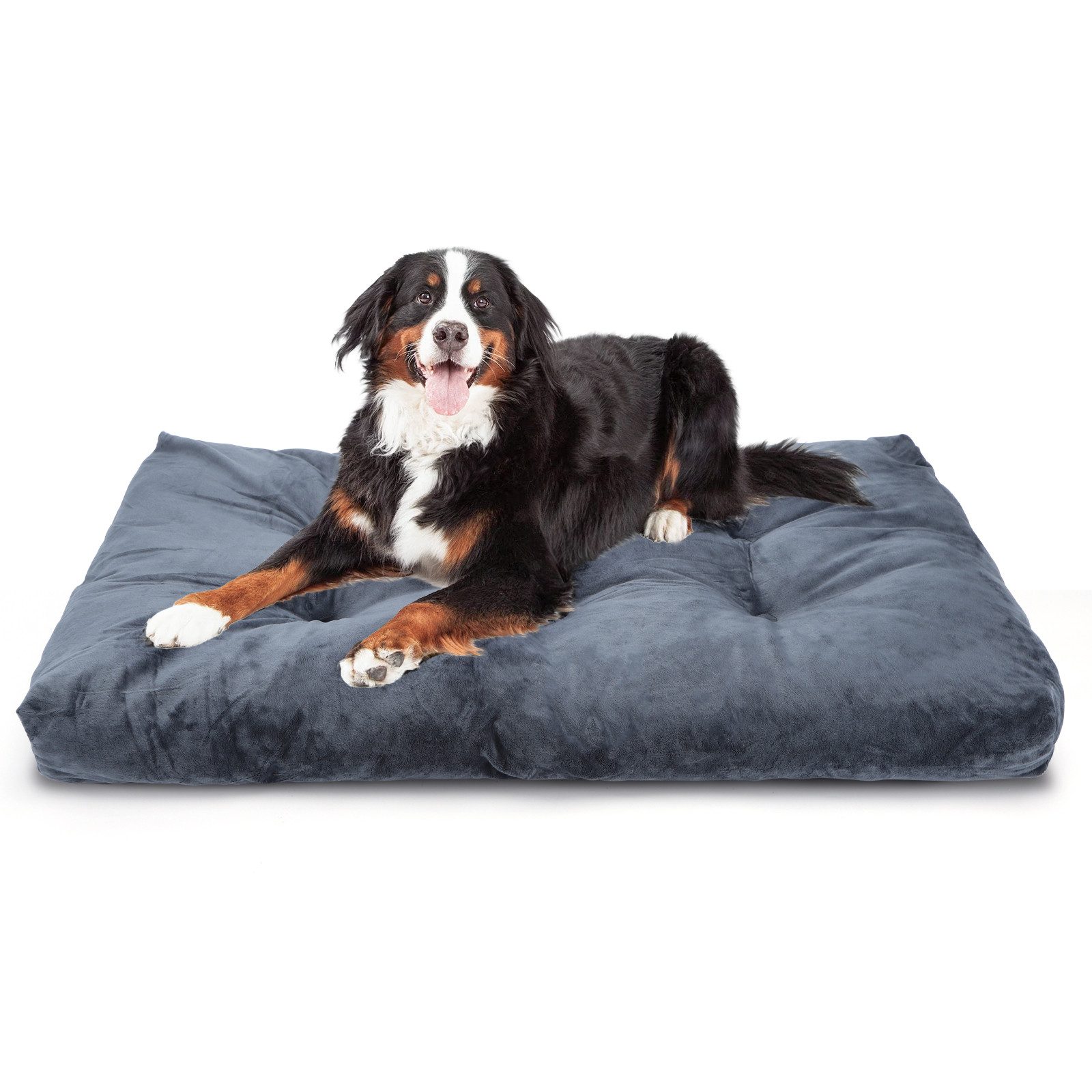 nobleza Hundematratze Hundekissen Hunde, Hundebett Waschbar, Hunde bett Plü günstig online kaufen
