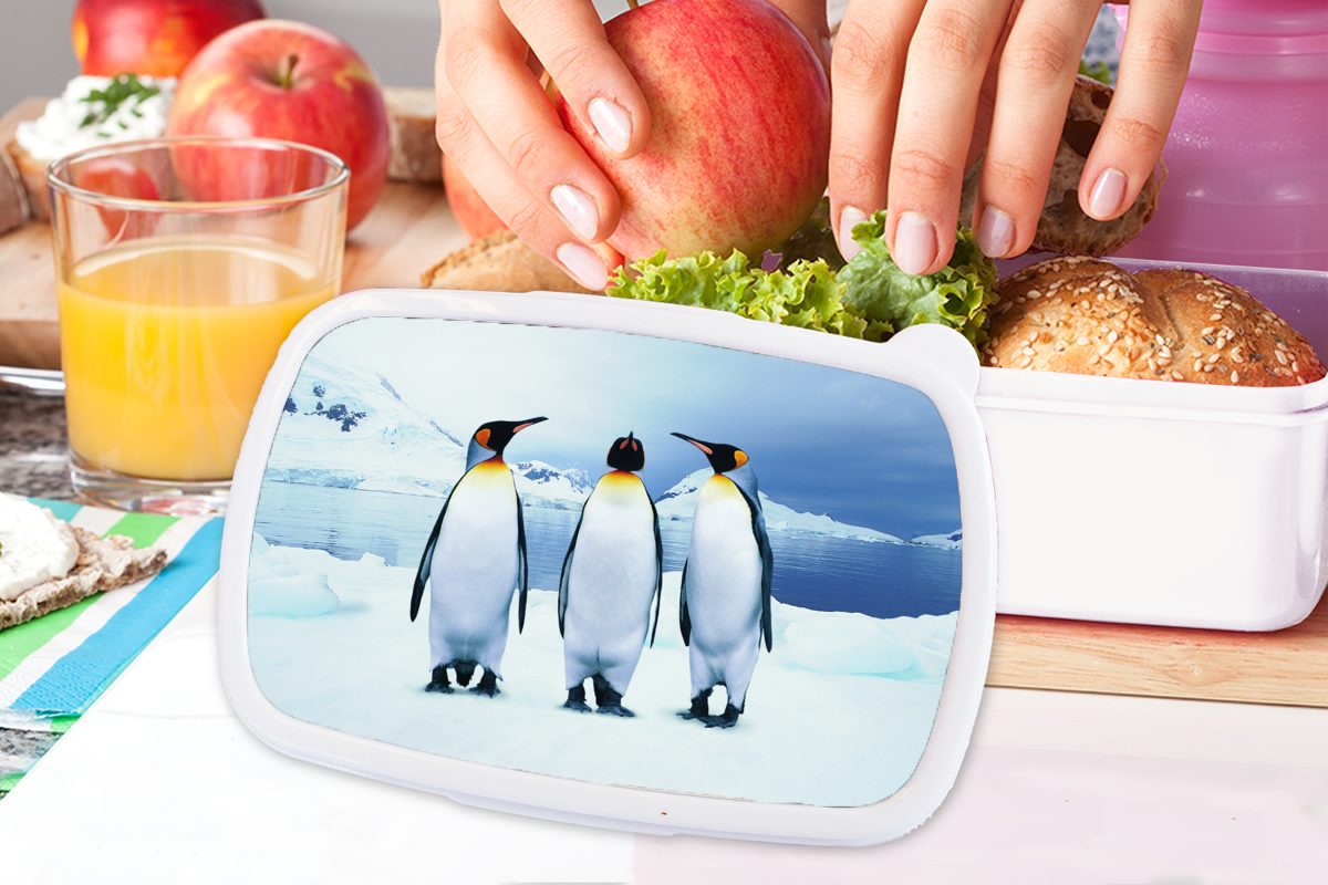 Jungs Brotdose, (2-tlg), und Brotbox Kinder und Porträt, Kunststoff, Lunchbox weiß für Pinguine Mädchen Erwachsene, für Drei MuchoWow