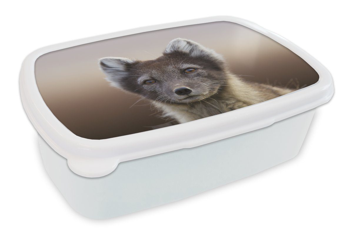 weiß Brotdose, (2-tlg), - Lunchbox - Mantel, Brotbox Erwachsene, für und Kinder Mädchen für Fuchs Kunststoff, Jungtier Jungs und MuchoWow