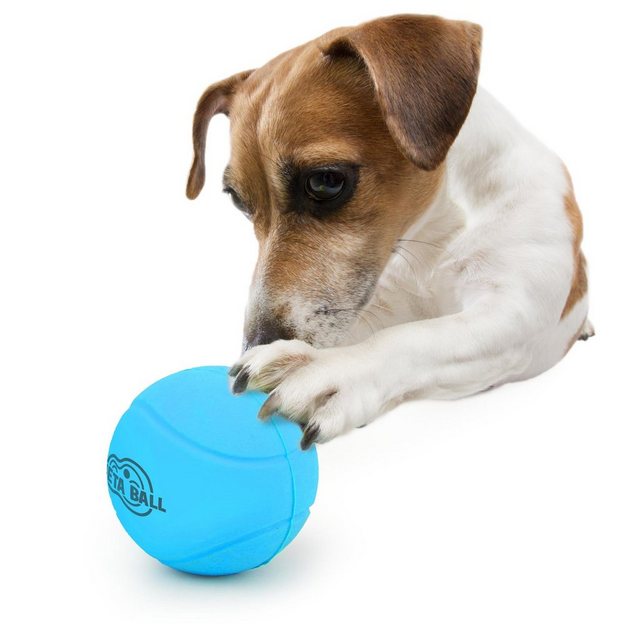 PETGARD Tier-Beschäftigungsspielzeug „Hundespielzeug Tierball Ball“, Spielball mit Rassel Rassel Ball für Hunde 6 cm Durchm.