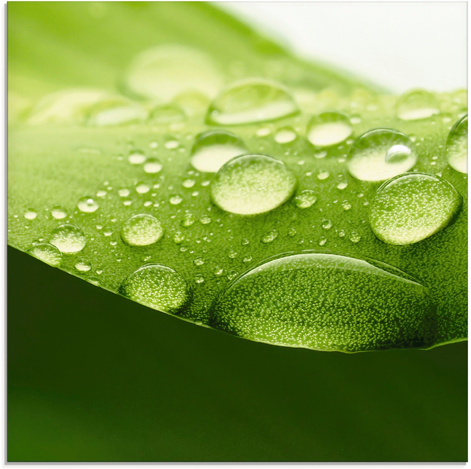 Artland Glasbild Blatt, Zen (1 St), günstig online kaufen