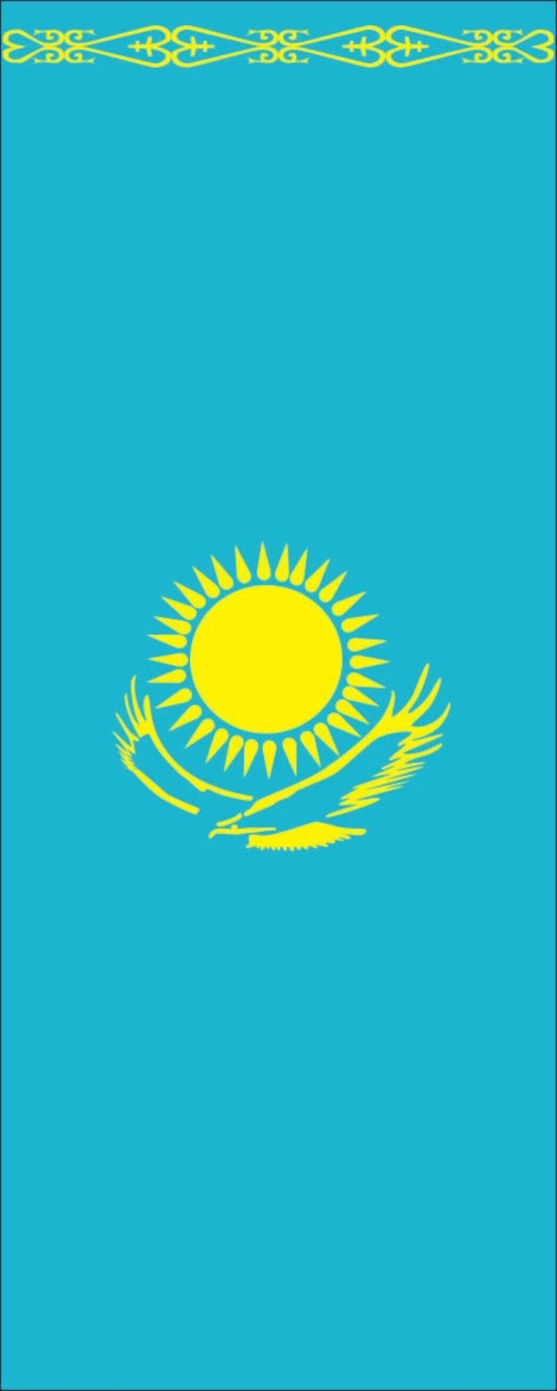 flaggenmeer Flagge Flagge Kasachstan 110 g/m² Hochformat