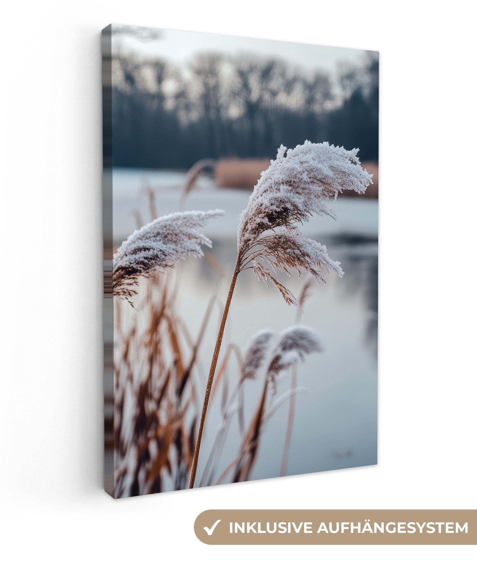 OneMillionCanvasses® Leinwandbild Schilf - Gras - Natur - Winter - See, Fot günstig online kaufen