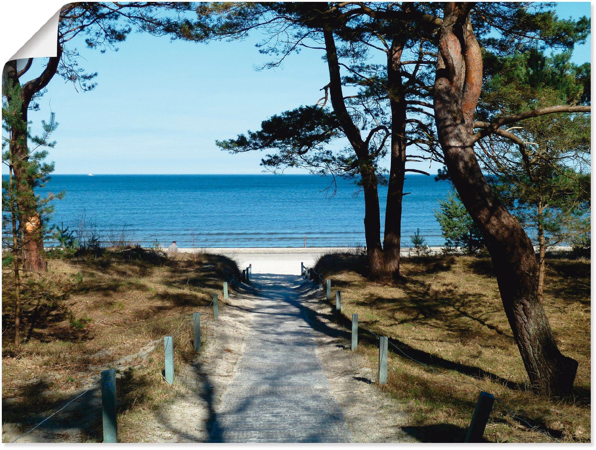 Wandaufkleber Ostseeküste, in als (1 Artland versch. St), Größen schöne Poster Wandbild Leinwandbild, oder Gewässer