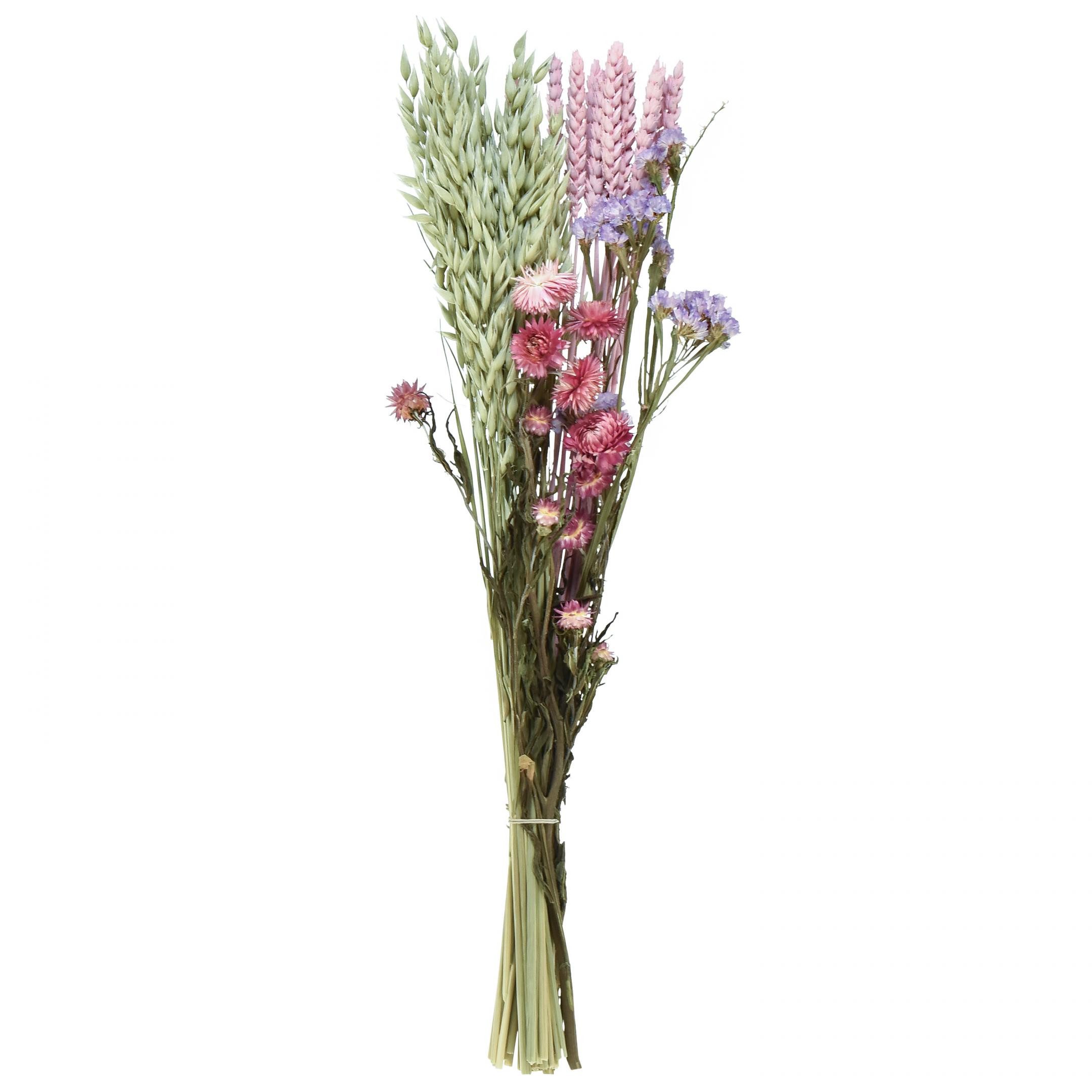 Trockenblume Trockenblumenstrauß Rosa Strandflieder 58cm Deko