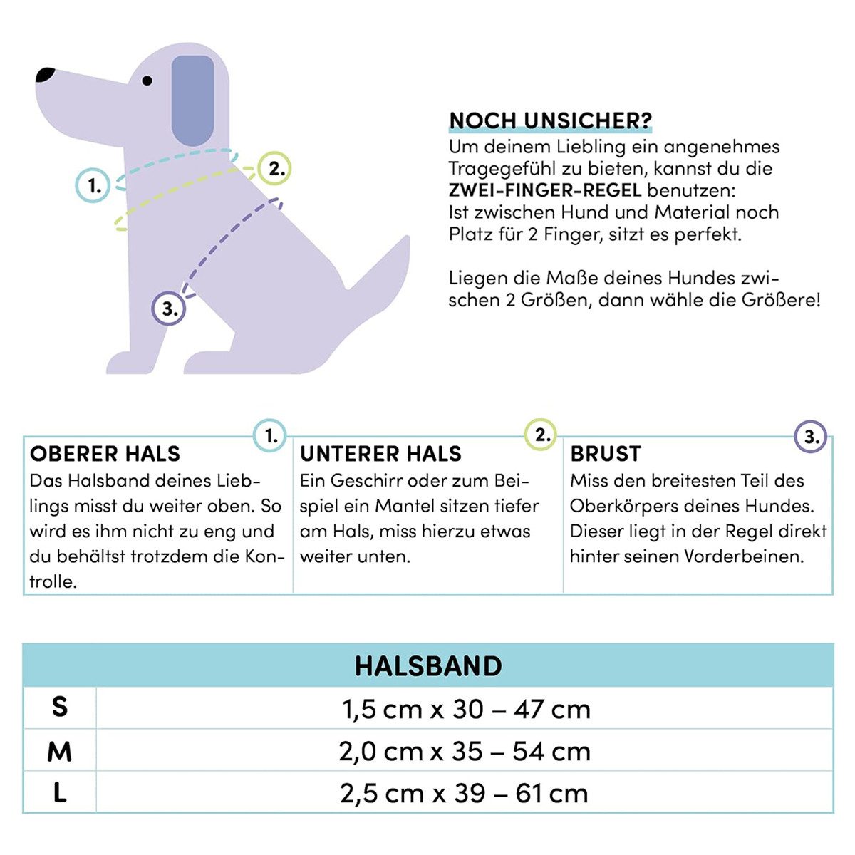 STUCH Hunde-Halsband STUCH Hundehalsband - verstellbares und gepolstertes Nylon Halsband