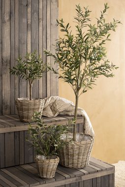 Kunstpflanze Olivenbaum Topf, Ib Laursen, Höhe 75 cm