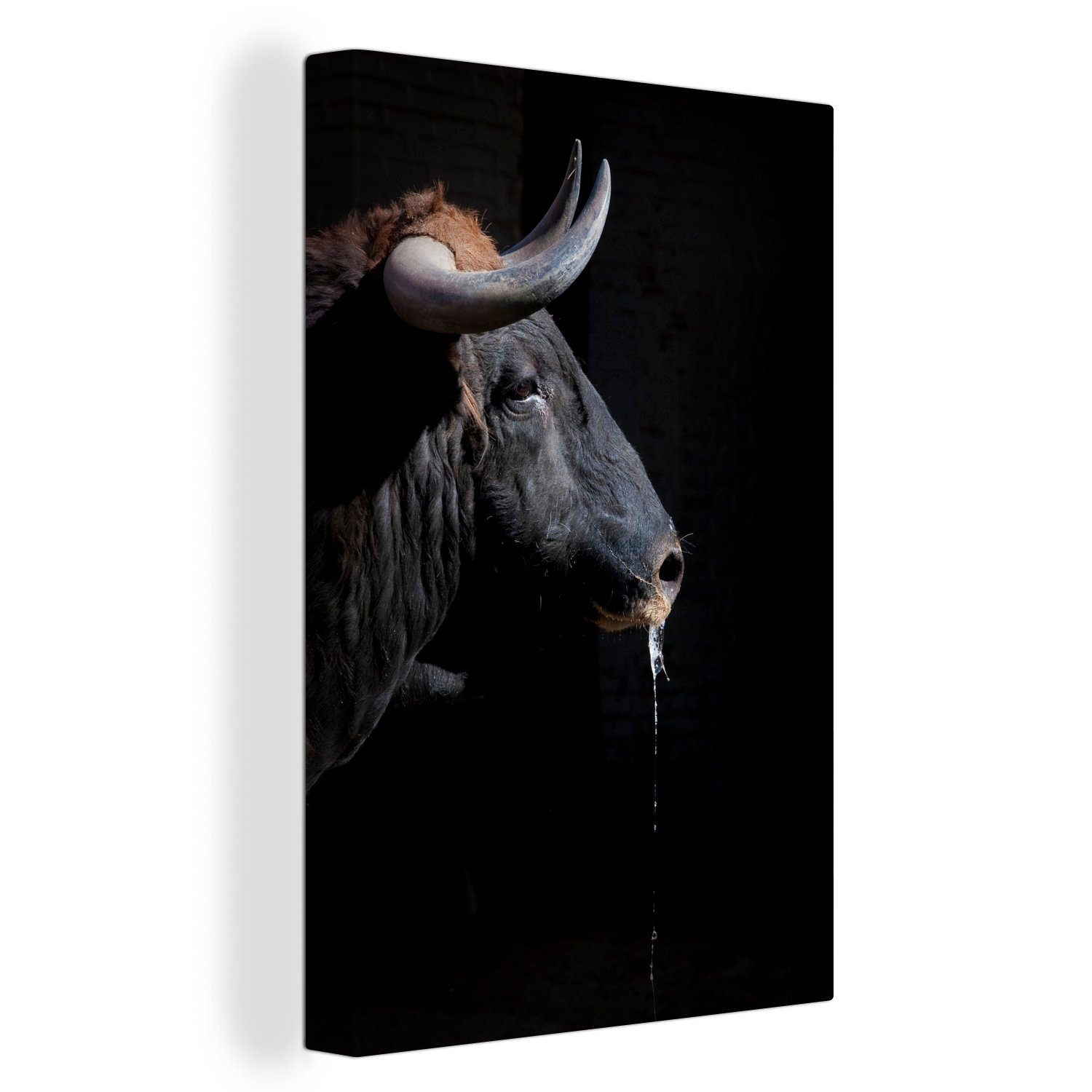 OneMillionCanvasses® Leinwandbild Ein schwarzer Stier mit Hörnern auf schwarzem Hintergrund, (1 St), Leinwandbild fertig bespannt inkl. Zackenaufhänger, Gemälde, 20x30 cm