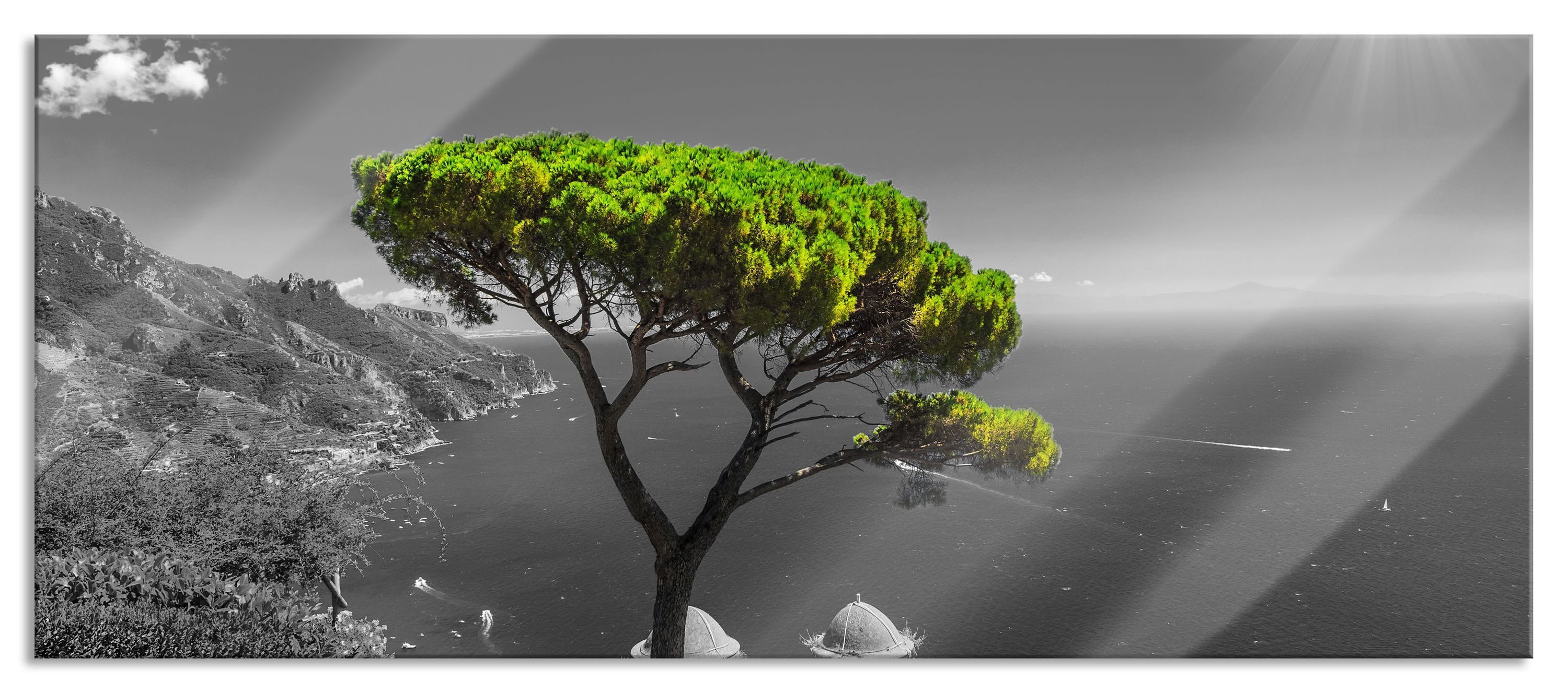 Glasbild Baum am Mittelmeer