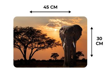Platzset, Elefant - Baum - Afrika, MuchoWow, (6-St), Platzset, Platzdecken, Platzmatte, Tischmatten, Schmutzabweisend