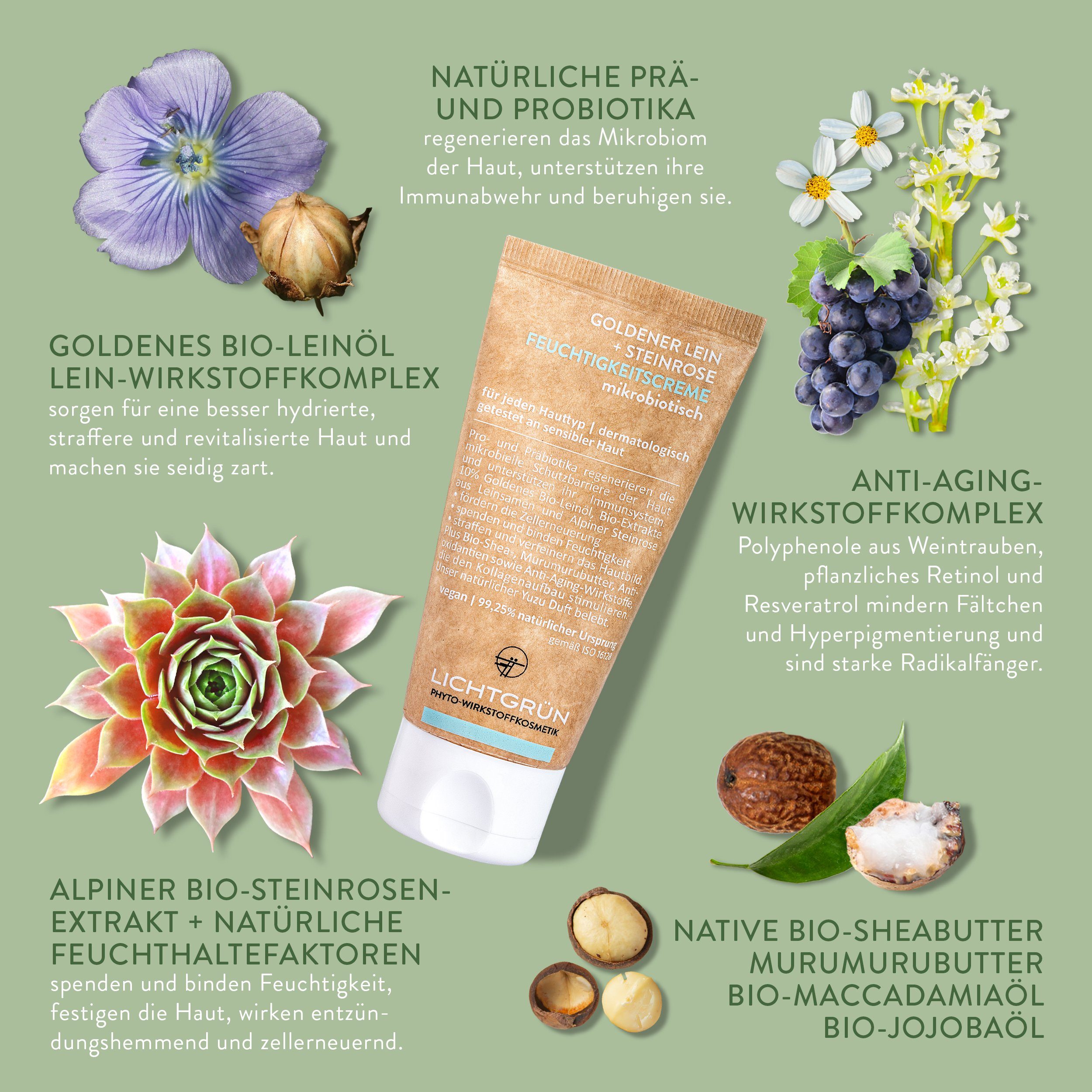 mit 50 LICHTGRÜN® Anti-Aging-Creme Probiotika, Bio-Leinöl, ml FEUCHTIGKEITSCREME Mikrobiotisch, Vegan, 99,25% Hochverträglich Bio-Steinrose, Natürlich,