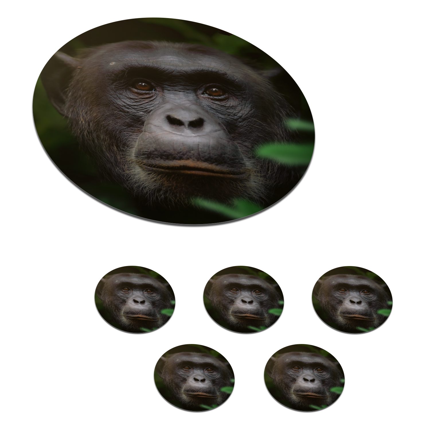 MuchoWow Glasuntersetzer Tiere - Affe - Dschungel, Zubehör für Gläser, 6-tlg., Getränkeuntersetzer, Tassenuntersetzer, Korkuntersetzer, Tasse, Becher