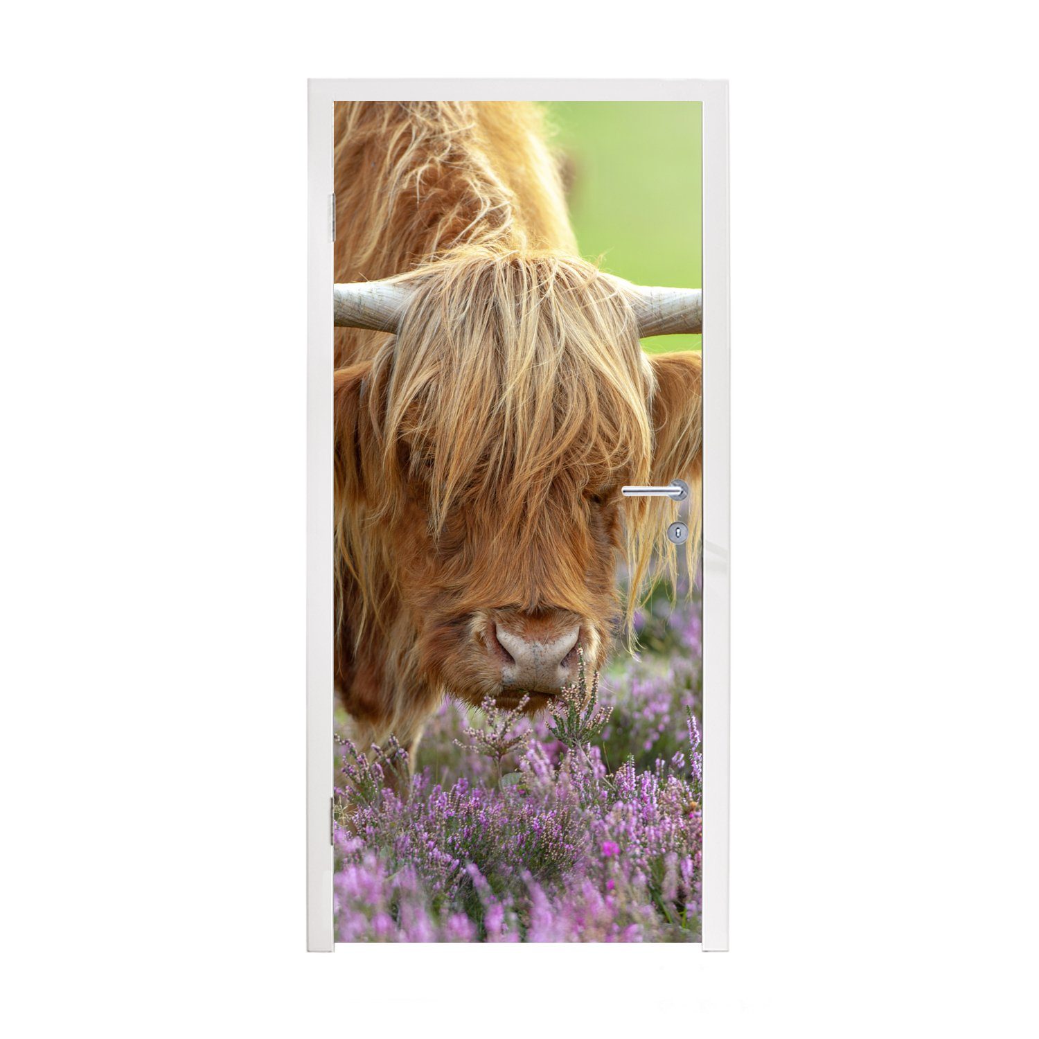 MuchoWow Türtapete Schottische Highlander - Blumen - Natur, Matt, bedruckt, (1 St), Fototapete für Tür, Türaufkleber, 75x205 cm