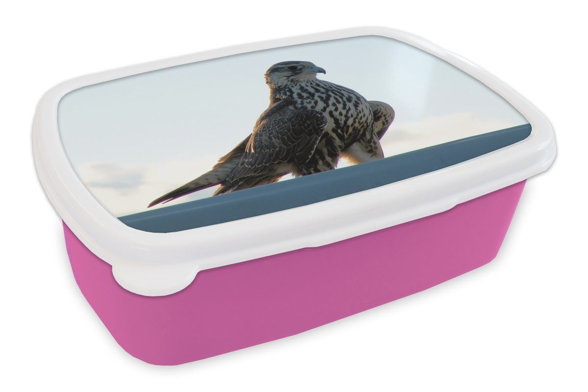 MuchoWow Lunchbox Falke (2-tlg), rosa - Portugal Mädchen, Erwachsene, Kinder, - Kunststoff, Brotdose Vogel, Snackbox, Kunststoff Brotbox für