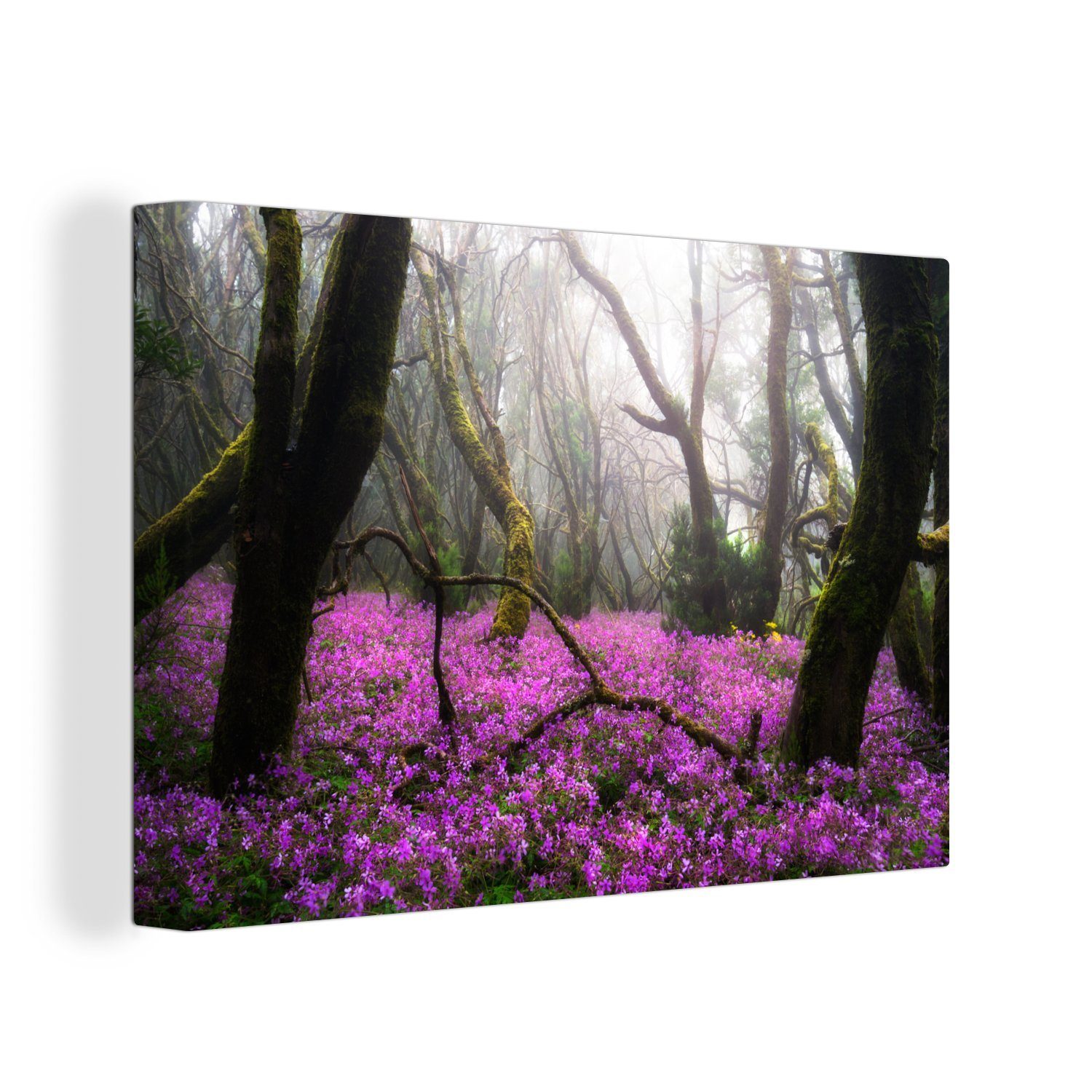 OneMillionCanvasses® Leinwandbild Garajonay-Nationalpark (1 30x20 Wanddeko, im Aufhängefertig, St), Blumen in Leinwandbilder, Leuchtend Spanien, cm Wandbild rosa