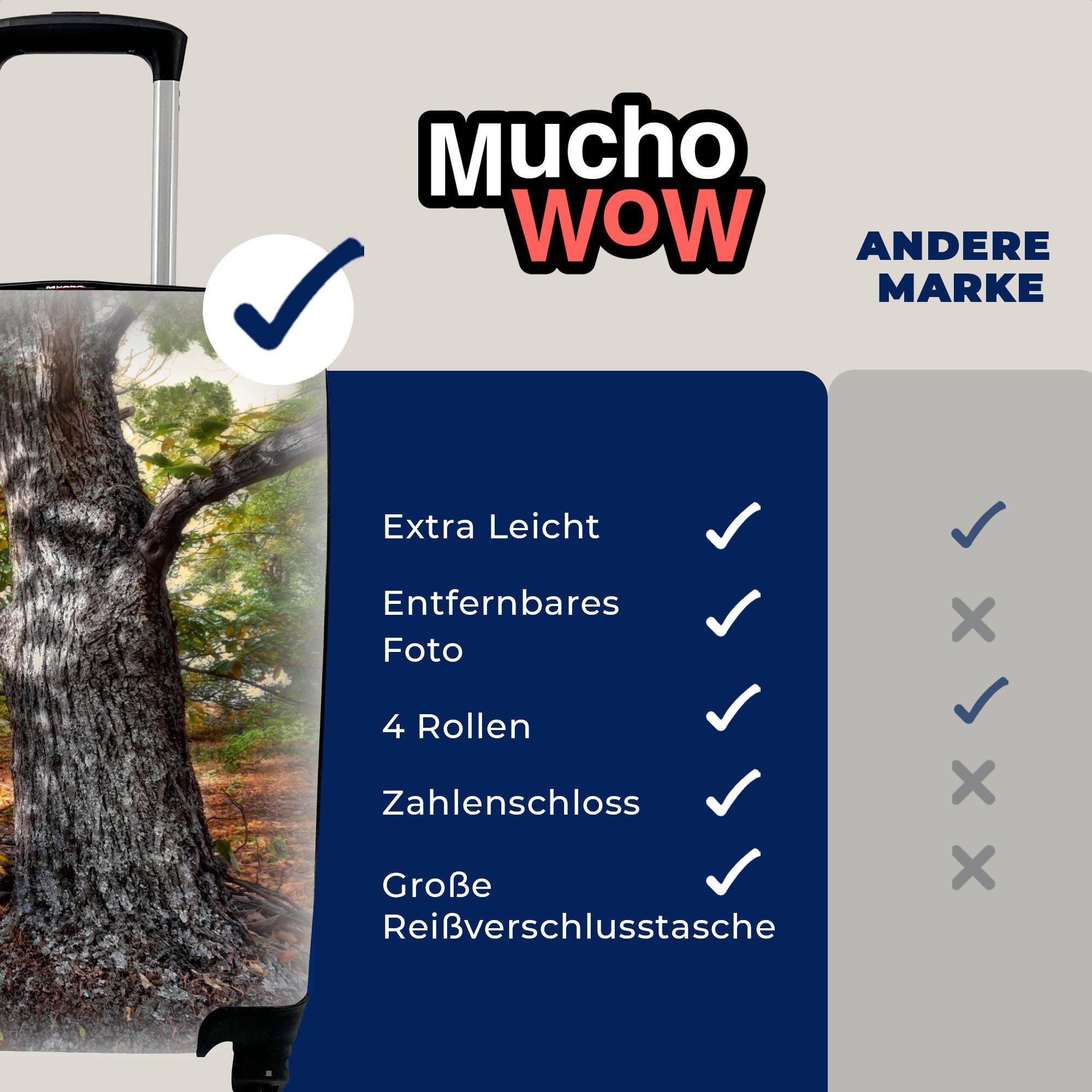 MuchoWow Handgepäckkoffer Reisekoffer Kastanienbäume, Mehrere 4 Handgepäck Rollen, für Ferien, mit Trolley, Reisetasche rollen