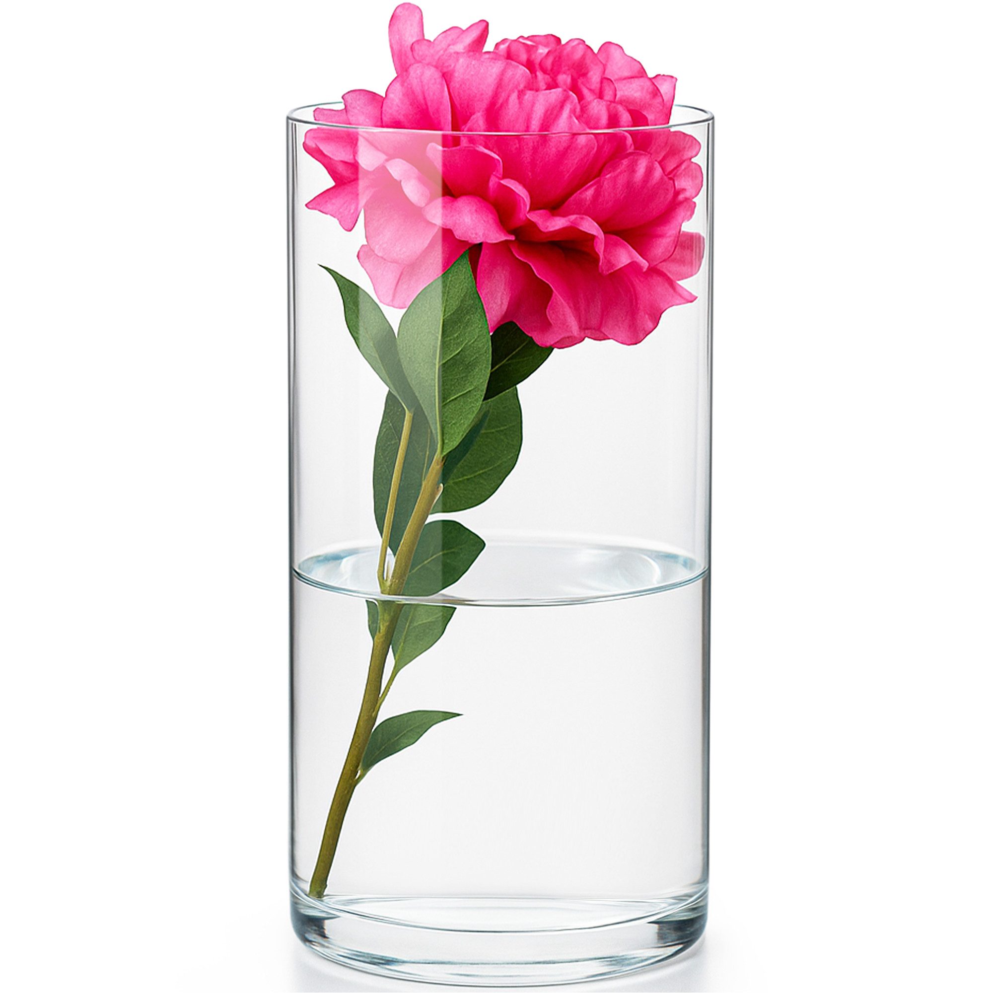 KONZEPT Tischvase Zylinder Glasvase (16 cm, H:30 cm), große Vase Glas (1 St günstig online kaufen