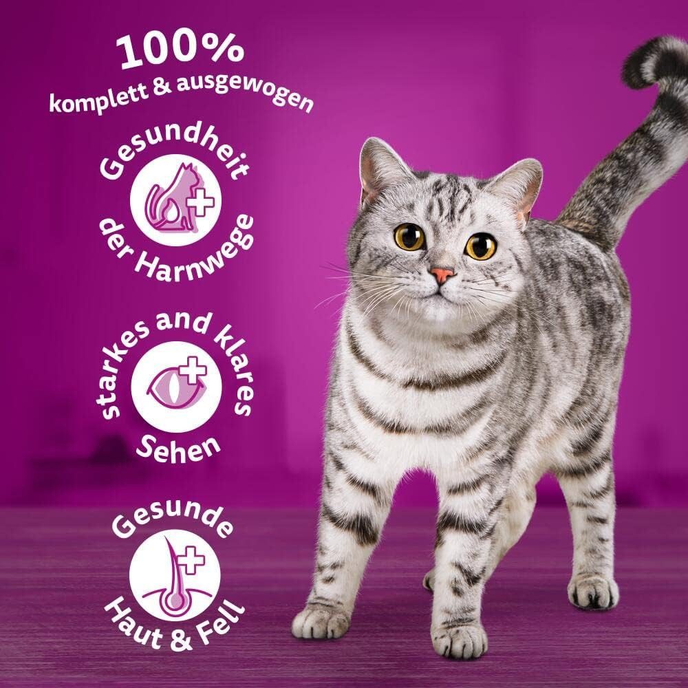 Whiskas WHISKAS® Karton Trocken 1+ mit Huhn 800g, Trockenfutter für: Katze