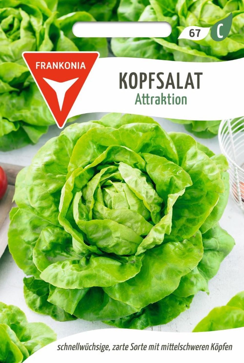 FRANKONIA Gemüsesamen Kopfsalat, Attraktion - Saatgut Salat-Samen Samen, Lactuca sativa