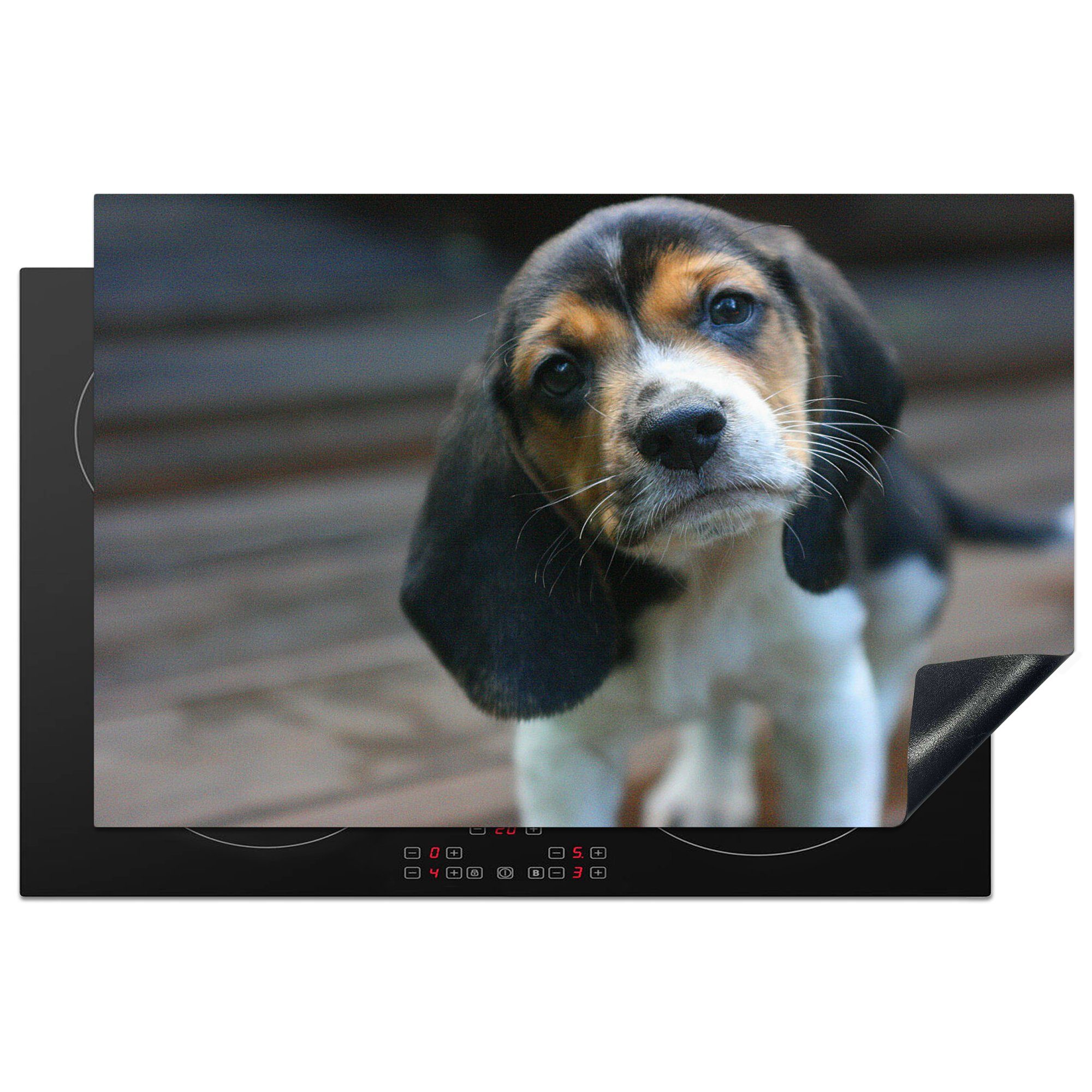 MuchoWow Vinyl, cm, eines 81x52 Induktionskochfeld die Beagle-Welpen, Herdblende-/Abdeckplatte Nahaufnahme küche, tlg), für (1 Ceranfeldabdeckung Schutz