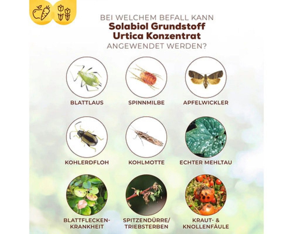 Solabiol Pflanzen-Pilzfrei Solabiol Grundstoff Urtica Konzentrat 1 l