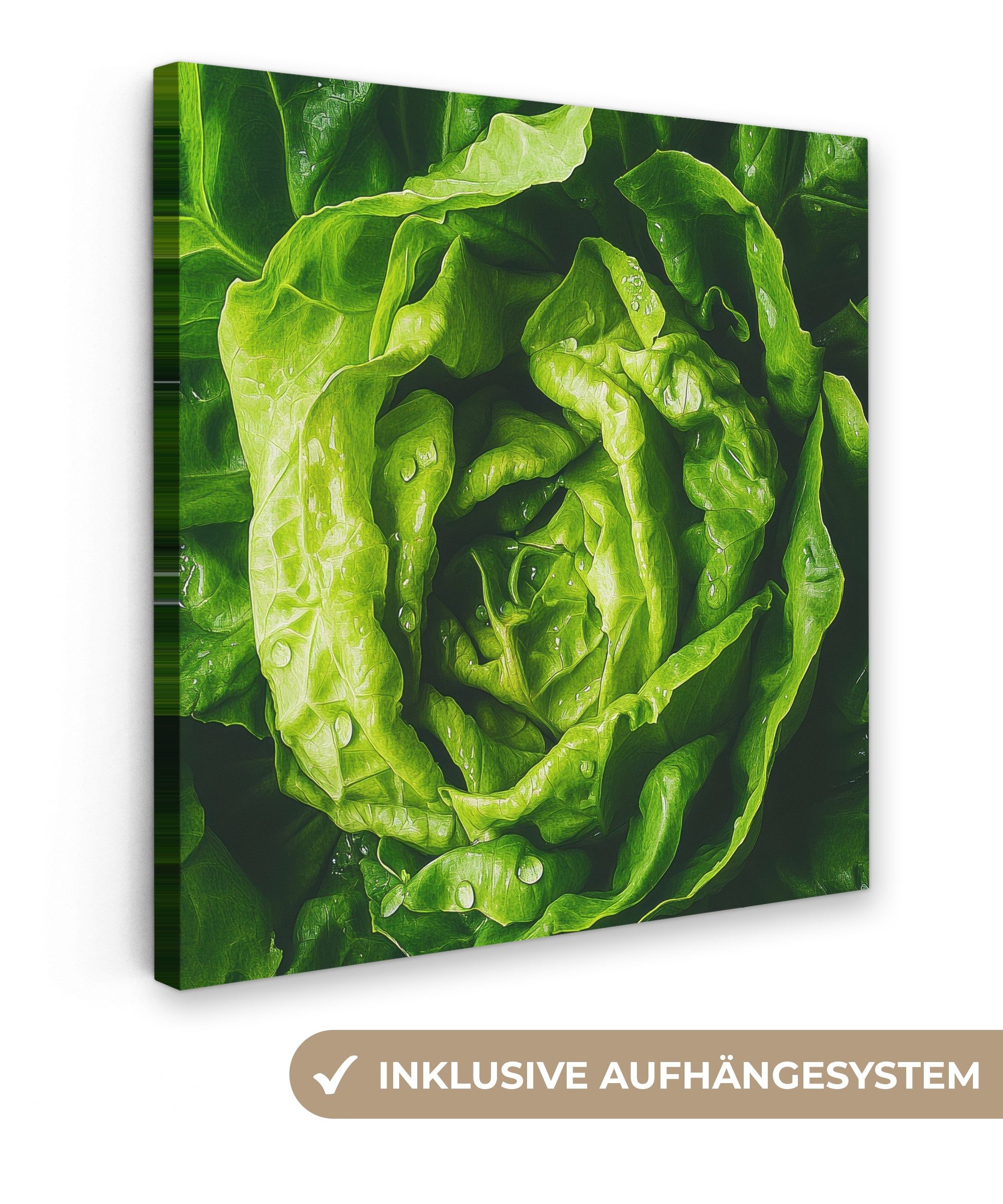 OneMillionCanvasses® Leinwandbild Gemüse - Kopfsalat - günstig online kaufen