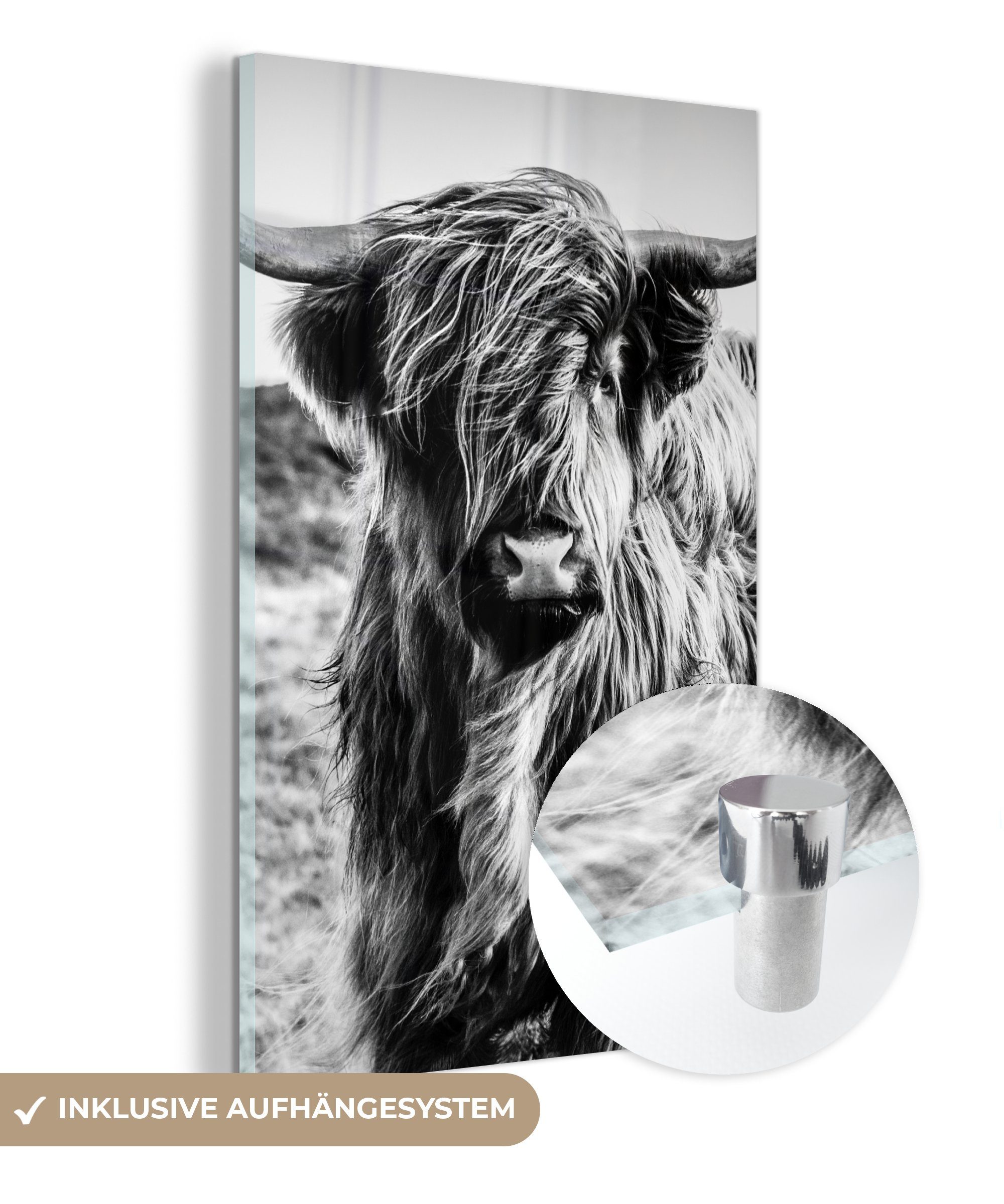 MuchoWow Acrylglasbild Schottischer Highlander - Natur - Kuh - Schwarz - We günstig online kaufen