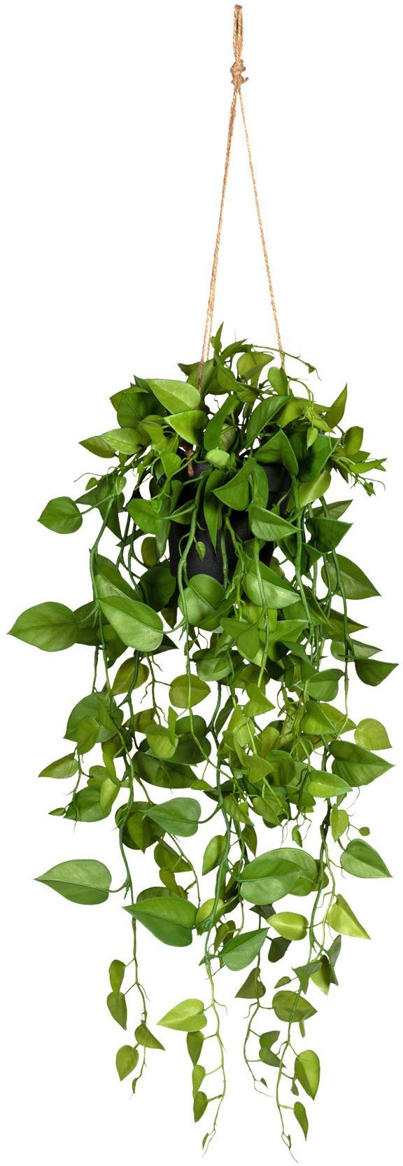 Philodendronhänger Creativ 75 Höhe green, Hängetopf Philodendron, Kunstranke im cm,