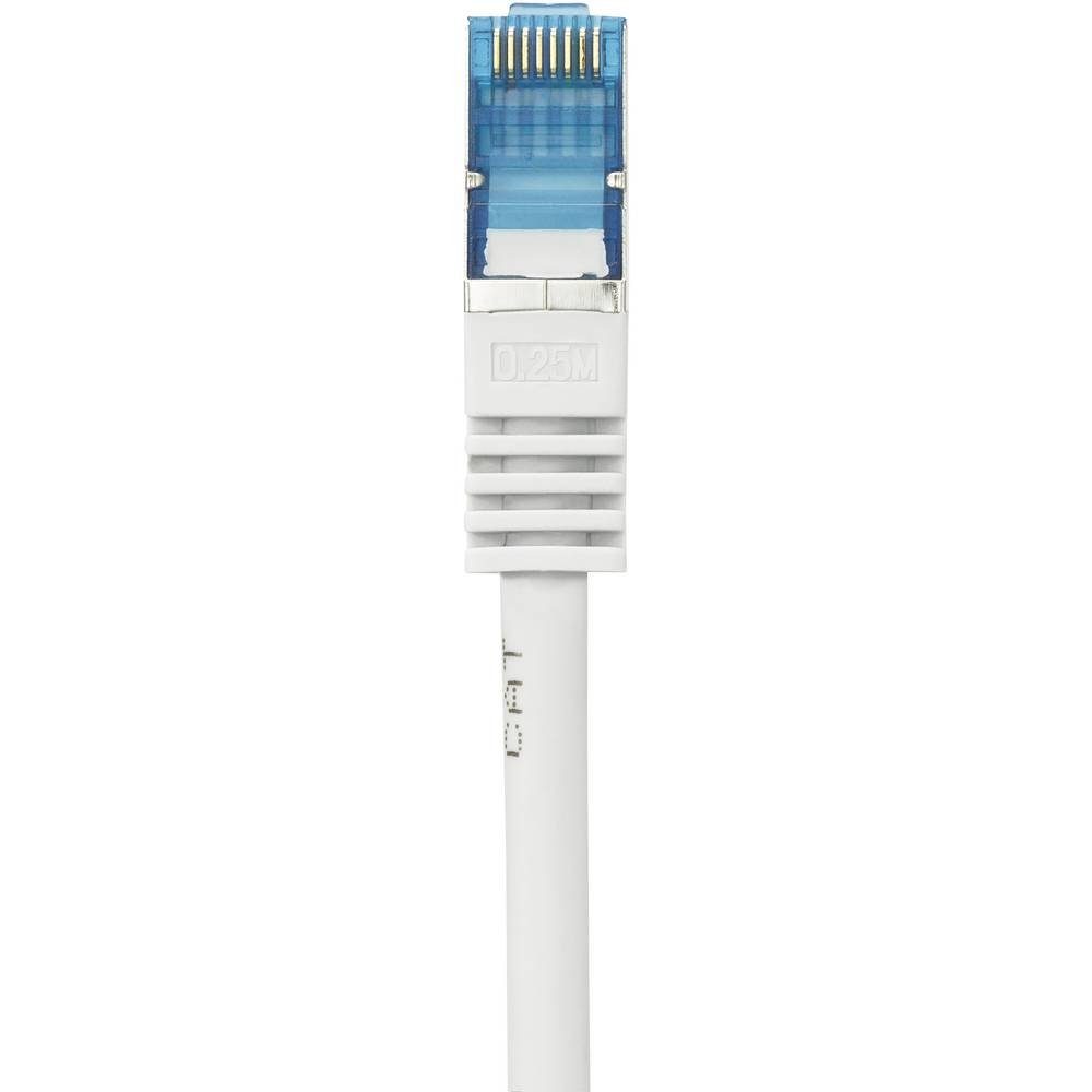m LAN-Kabel S/FTP 0.25 Renkforce CAT6A Netzwerkkabel