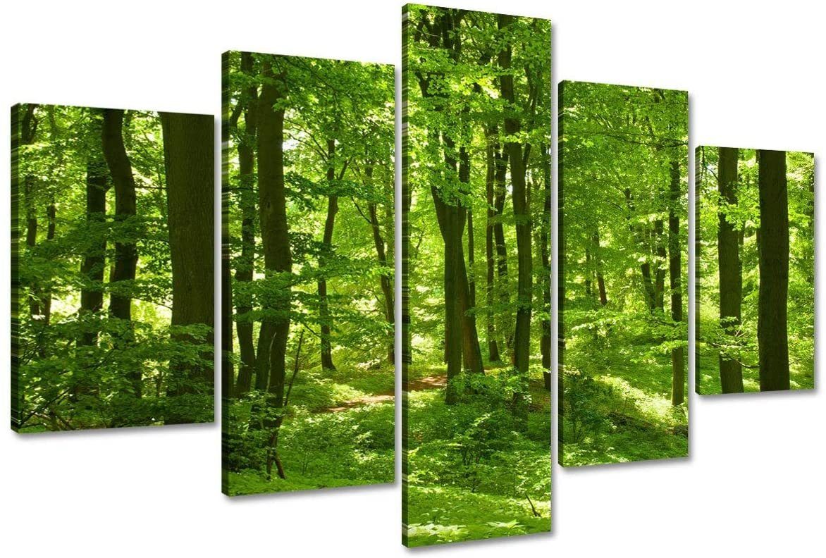 Visario Bild, 6411 günstig online kaufen