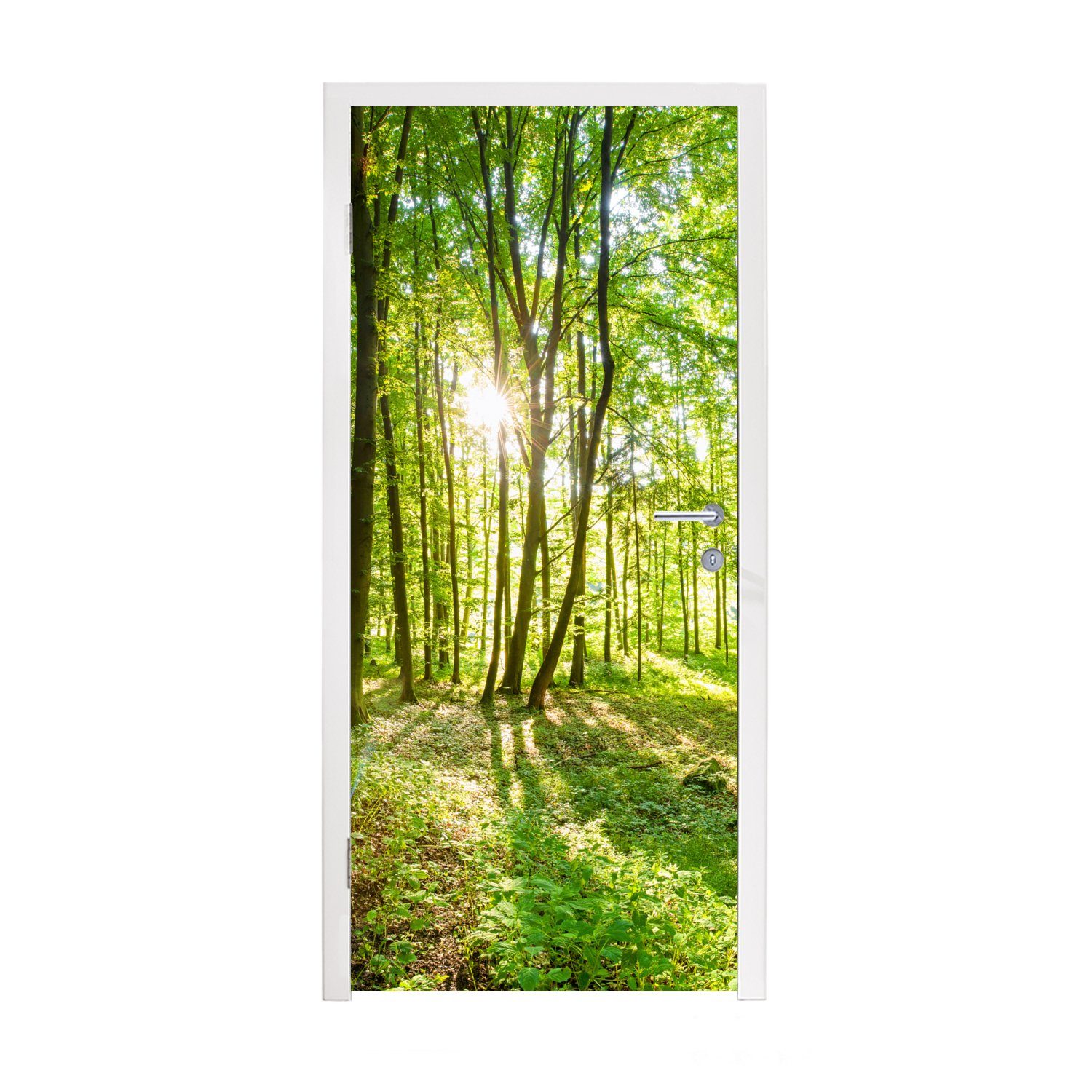 MuchoWow Türtapete Natur - Bäume - günstig online kaufen