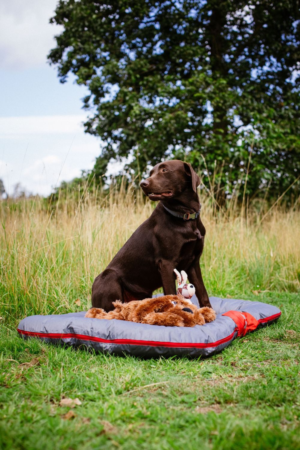 Nobby Tierbett Kissen oval "RENO", Wasser- und Schmutzabweisend