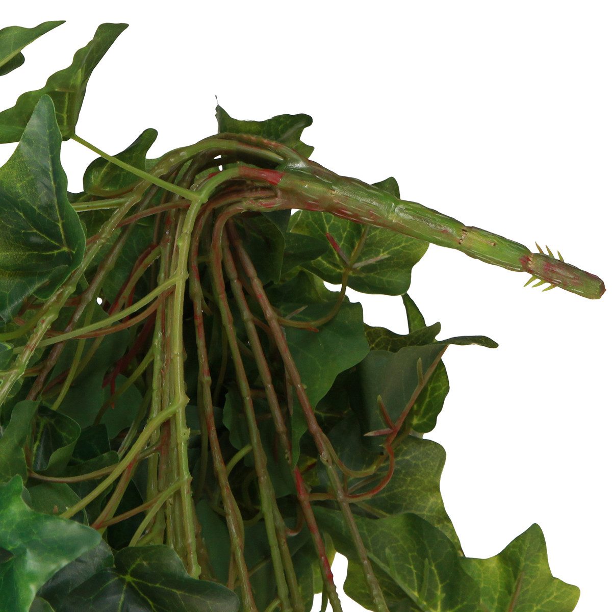 Künstliche Zimmerpflanze Künstliche Efeuranke 183cm – günstig online kaufen